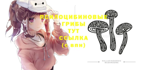 герыч Магас